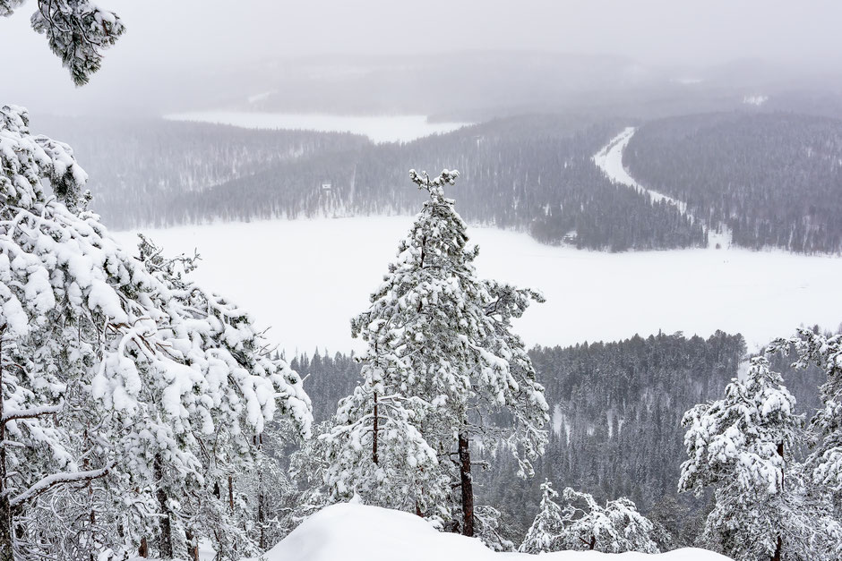 ROAD TRIP EN LAPONIE. 3 randos à faire à Ruka/Kuusamo et où se loger?. www.missaventure.com/ road-trip, nature et photographie