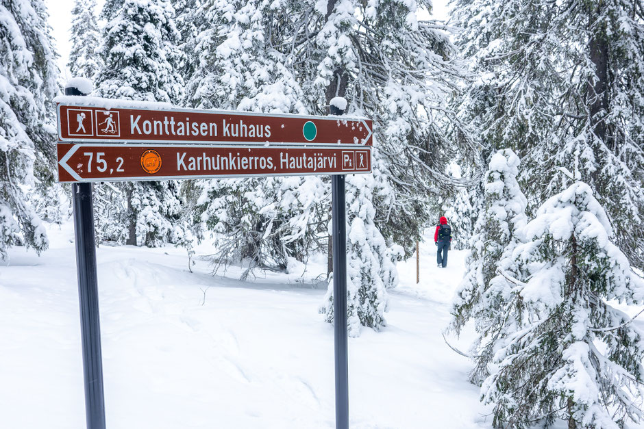 ROAD TRIP EN LAPONIE. 3 randos à faire à Ruka/Kuusamo et où se loger?. www.missaventure.com/ road-trip, nature et photographie