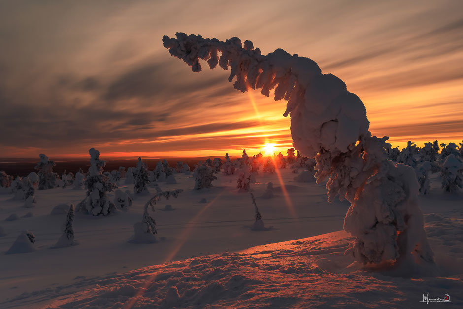 ROAD TRIP EN LAPONIE. 3 randos à faire à Ruka/Kuusamo et où se loger?. www.missaventure.com/ road-trip, nature et photographie