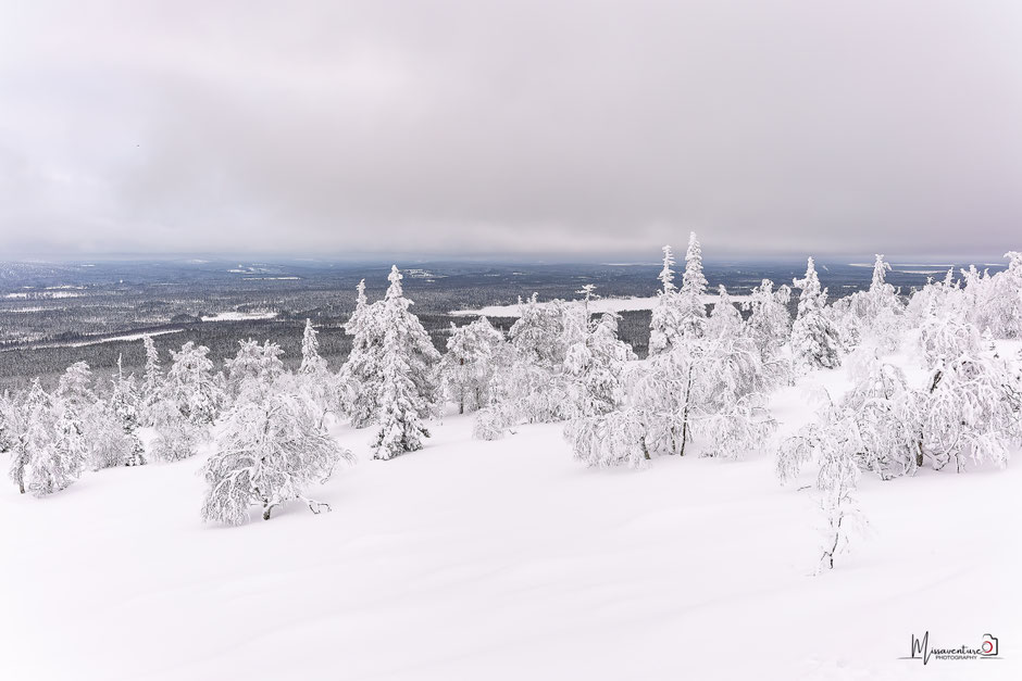 QUOI FAIRE A SALLA, EN LAPONIE, INFOS ET CONSEILS/TAIVAAN TAVOITTELIJAN. www.missaventure.com  roadtrip, nature, and photography.