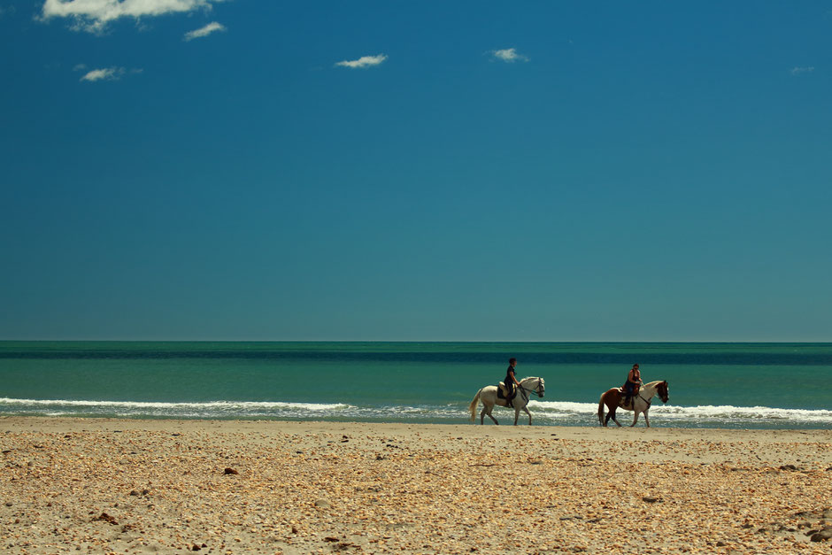 CAMARGUE, www.missaventure.com. blog aventures, nature et photo, plage sauvage de saintes Maries de la mer