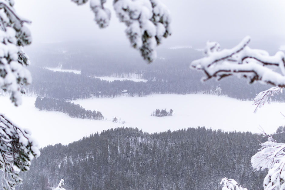 ROAD TRIP EN LAPONIE. 3 randos à faire à Ruka/Kuusamo et où se loger?. www.missaventure.com/ road-trip, nature et photographie