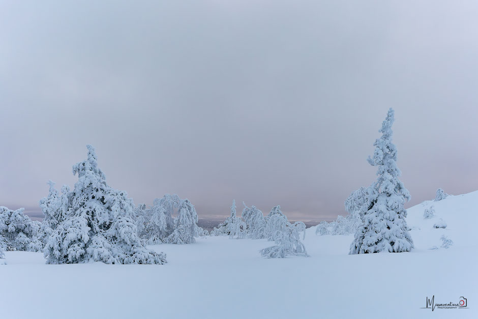 QUOI FAIRE A SALLA, EN LAPONIE, INFOS ET CONSEILS/TAIVAAN TAVOITTELIJAN. www.missaventure.com  roadtrip, nature, and photography.