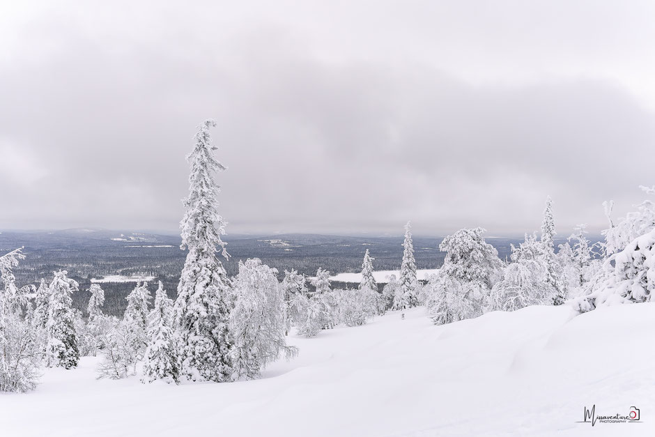 QUOI FAIRE A SALLA, EN LAPONIE, INFOS ET CONSEILS/TAIVAAN TAVOITTELIJAN. www.missaventure.com  roadtrip, nature, and photography.