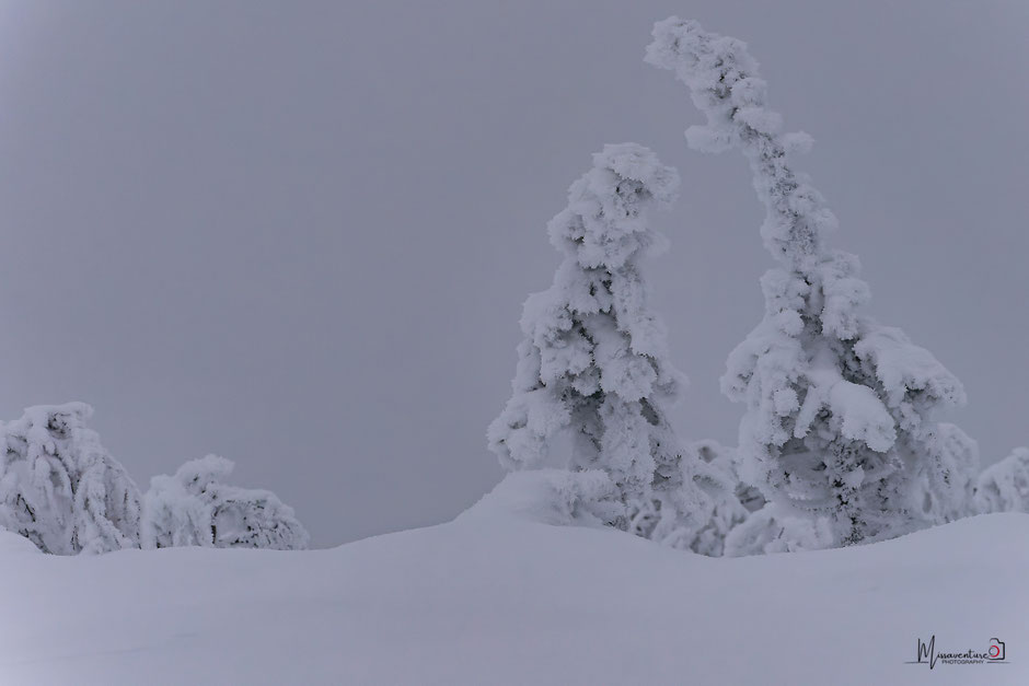 QUOI FAIRE A SALLA, EN LAPONIE, INFOS ET CONSEILS/TAIVAAN TAVOITTELIJAN. www.missaventure.com  roadtrip, nature, and photography.