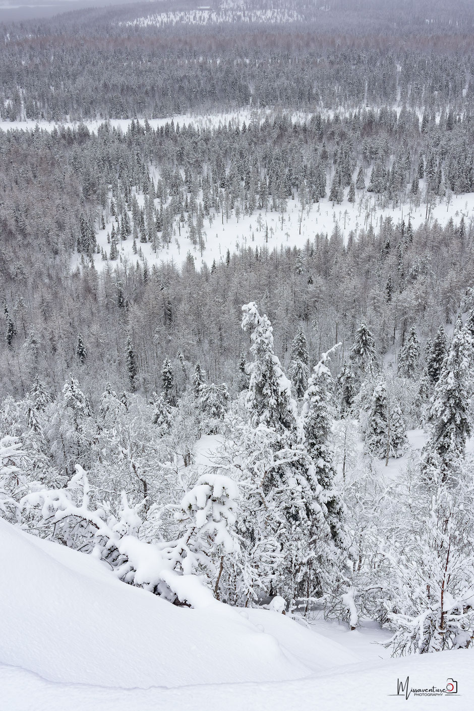 ROAD TRIP EN LAPONIE. 3 randos à faire à Ruka/Kuusamo et où se loger?. www.missaventure.com/ road-trip, nature et photographie