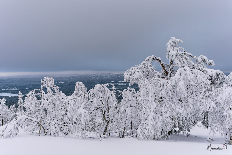 QUOI FAIRE A SALLA, EN LAPONIE, INFOS ET CONSEILS/TAIVAAN TAVOITTELIJAN. www.missaventure.com  roadtrip, nature, and photography.