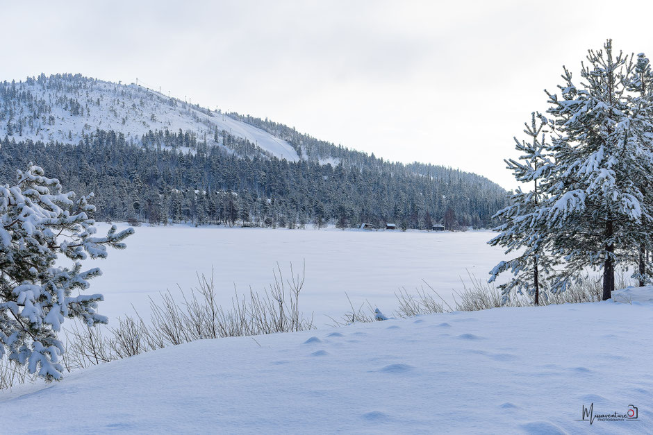 QUOI FAIRE A SALLA, EN LAPONIE, INFOS ET CONSEILS/DORMIR DANS UN LOGEMENT INSOLITE. www.missaventure.com  roadtrip, nature, and photography.