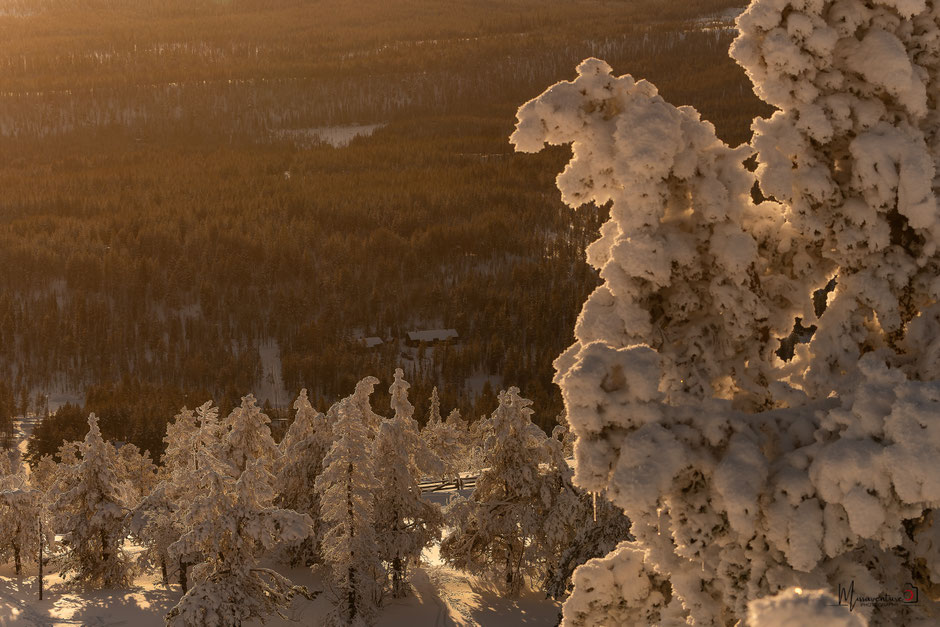 TOP 10 DES ACTIVITE A FAIRE EN LAPONIE/SKIER EN LAPONIE, INFOS ET CONSEILS. www.missaventure.com  roadtrip, outdoor adventures and photography.