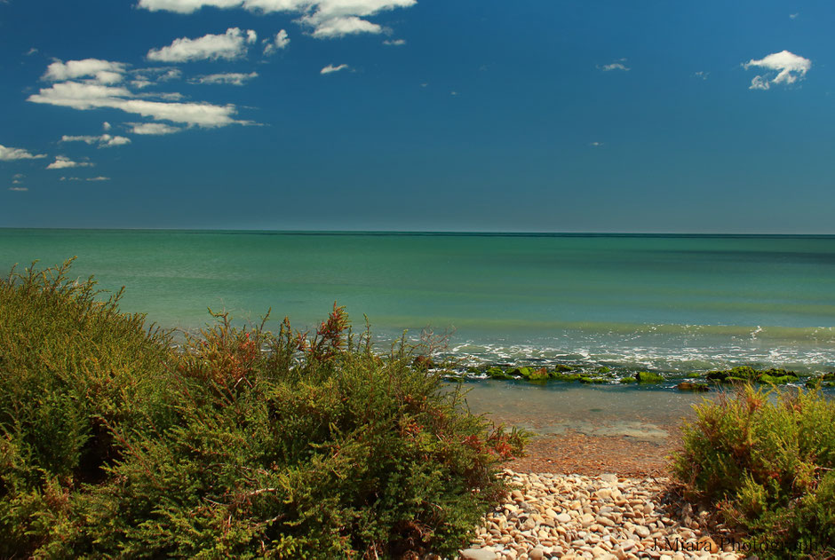 week end nature en Camargue. www.missaventure.com blog d'aventures, nature et photos. Plage sauvage saintes maries de la mer