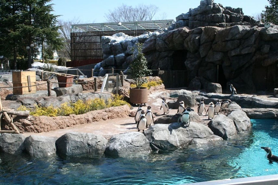 Play hard in the sun! The secret to enjoying your summer holiday 120% to the fullest