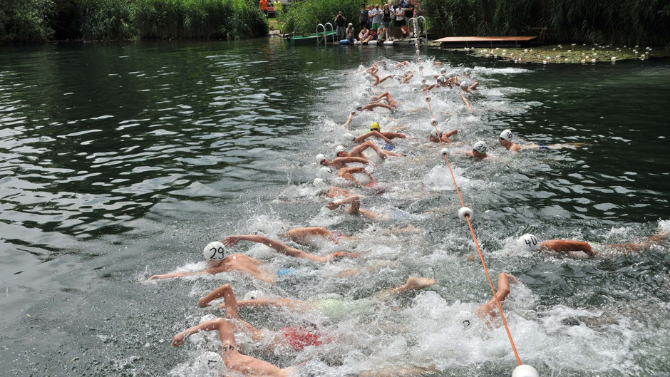 Bild: Swimsportnews-Hessen