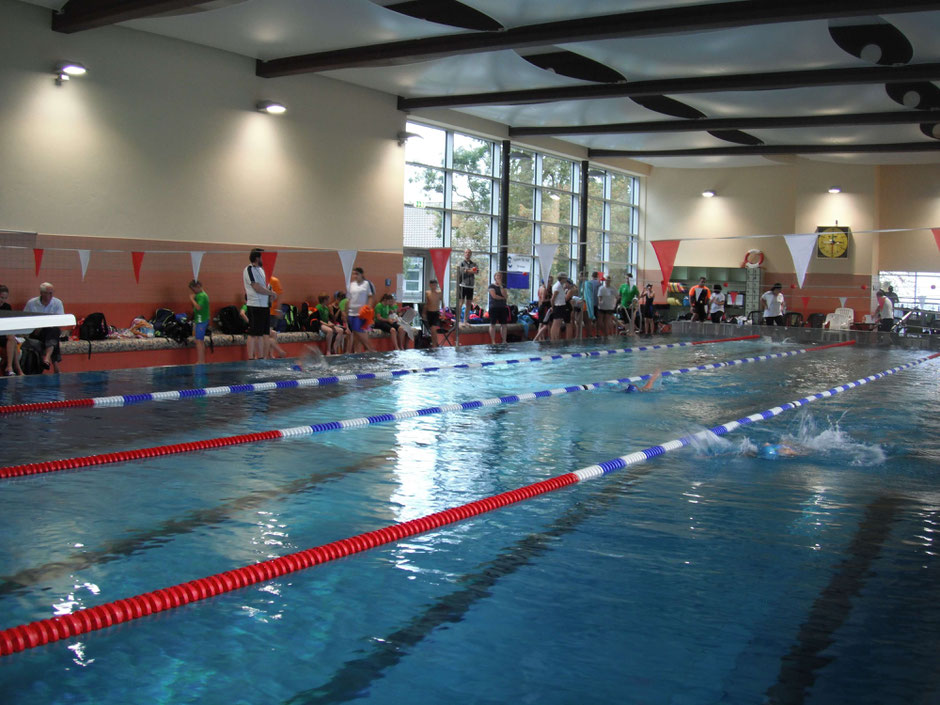 Bild: Swimsportnews-Hessen