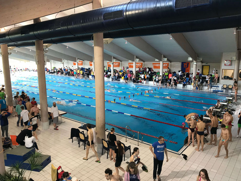 Die Wettkampfstätte ist das Aquarena Hallenbad in Dillenburg / Foto: Ralf Hermann