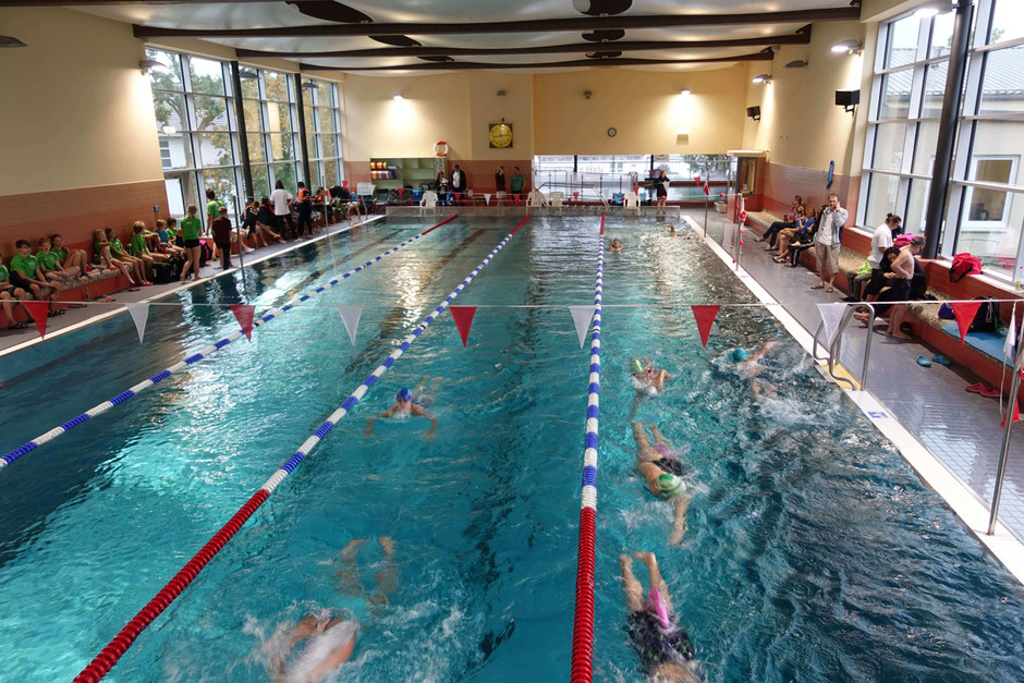 Bild: Swimsportnews-Hessen