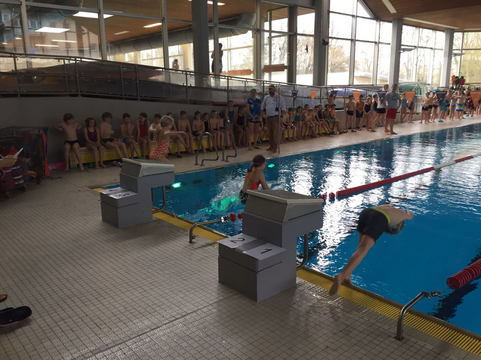 Foto: Swimsportnews-Hessen
