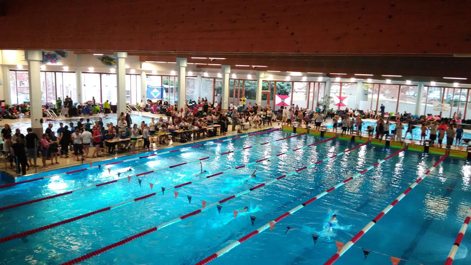 Bild: LFD Swim-Team