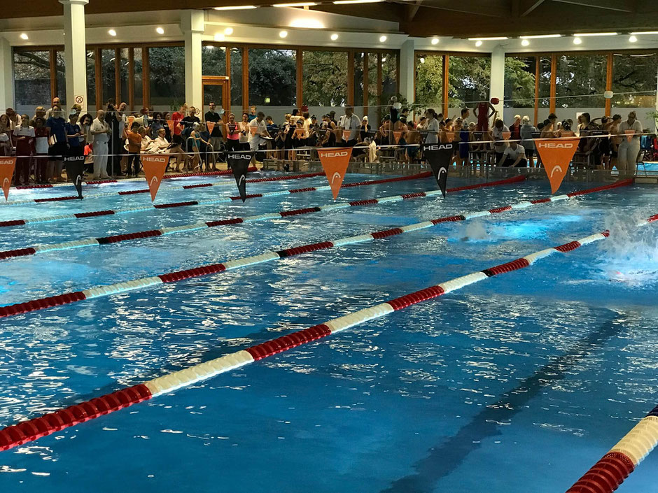 Bild: Swimsportnews-Hessen