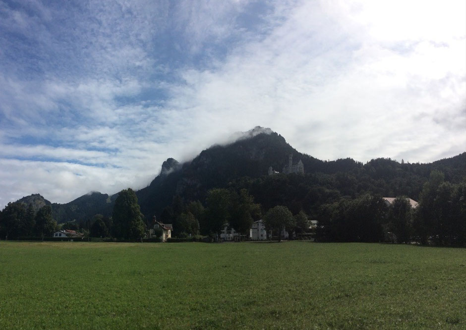 Schloß Neu-Schwanstein im Nebelwald