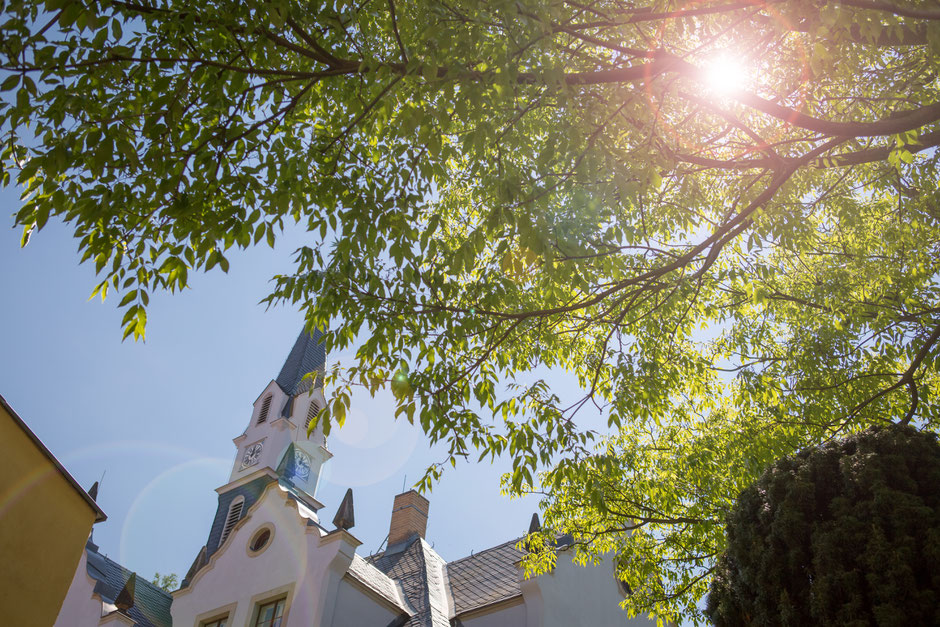 Hochzeitsfotograf Dresden, Hochzeitsfotograf Freital, Hochzeit Schloss Burgk Freital, Hochzeitsfotograf Schloss Burgk, Heiraten Schloss Burgk Freital, Hochzeitsfotos Schloss Burgk, Hochzeitslocation Dresden Freital