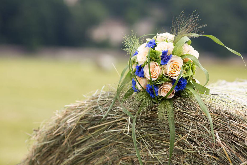 Hochzeitsfotograf Dresden, Hochzeit Standesamt Dresden, Hochzeit Goetheallee Dresden, heiraten in Dresden, Hochzeitsfotos Dresden