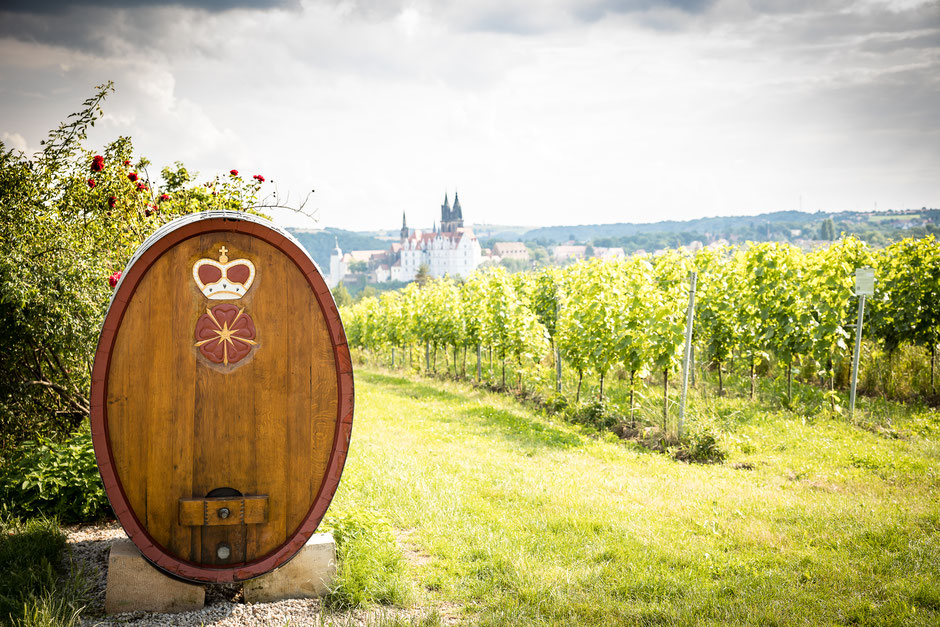 Hochzeit Schloss Proschwitz, Hochzeitsfotos Schloss Proschwitz, Hochzeitsfotograf Schloss Proschwitz, Schloss Proschwitz Heiraten, Hochzeit auf Schloss Proschwitz Fotos, Fotograf Hochzeit auf Schloss Proschwitz, Hochzeitslocation Schloss Proschwitz