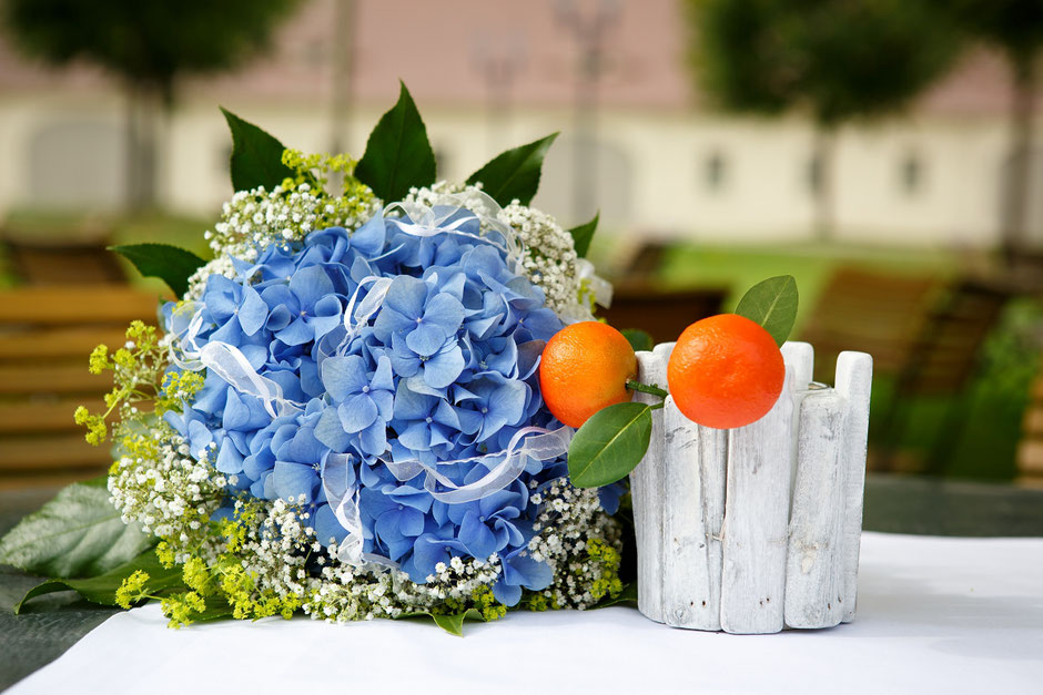Hochzeit im Barockschloss Rammenau, Hochzeit in Rammenau, Hochzeitsfotograf Dresden, Hochzeitsfotos Dresden, Hochzeitsfotos Rammenau, Schloss Rammenau, Spiegelsaal Schloss Rammenau