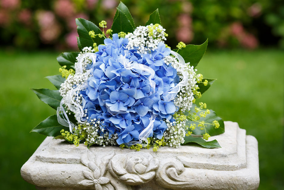 Hochzeit im Barockschloss Rammenau, Hochzeit in Rammenau, Hochzeitsfotograf Dresden, Hochzeitsfotos Dresden, Hochzeitsfotos Rammenau, Schloss Rammenau, Spiegelsaal Schloss Rammenau
