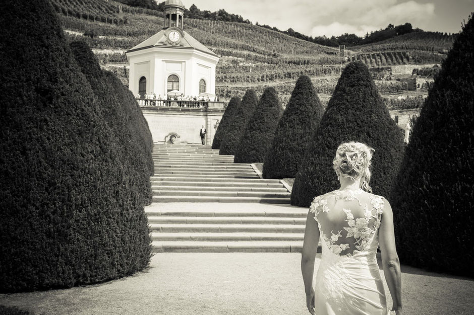 Hochzeit Schloss Wackerbarth, Hochzeitsfotograf Radebeul, Hochzeitsfotograf Schloss Wackerbarth, Hochzeitsfotograf Dresden