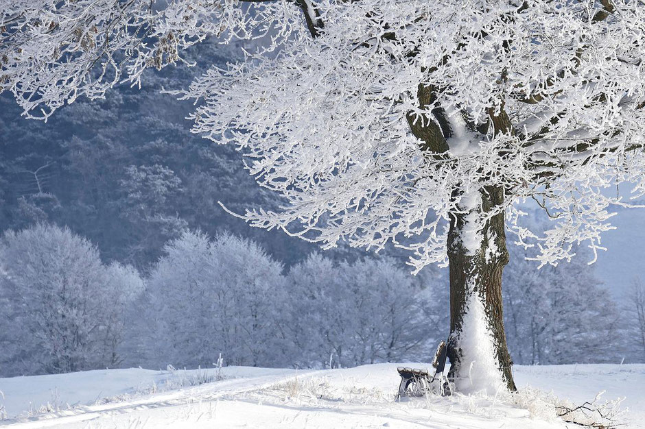 Winterurlaub im Weserbergland