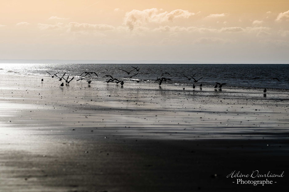 photo paysage nature en Normandie