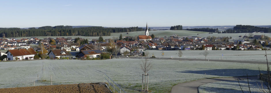 Blick vom Berghof auf den Ort Wald