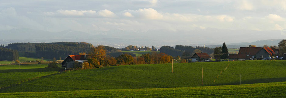 Blick in Richtung Alpen hinter der Klinik, vor der Abfahrt zum Berghof.