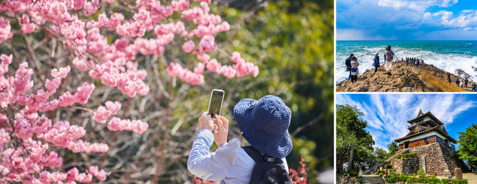 お得で快適な観光タクシーで特別な1日を！福井県