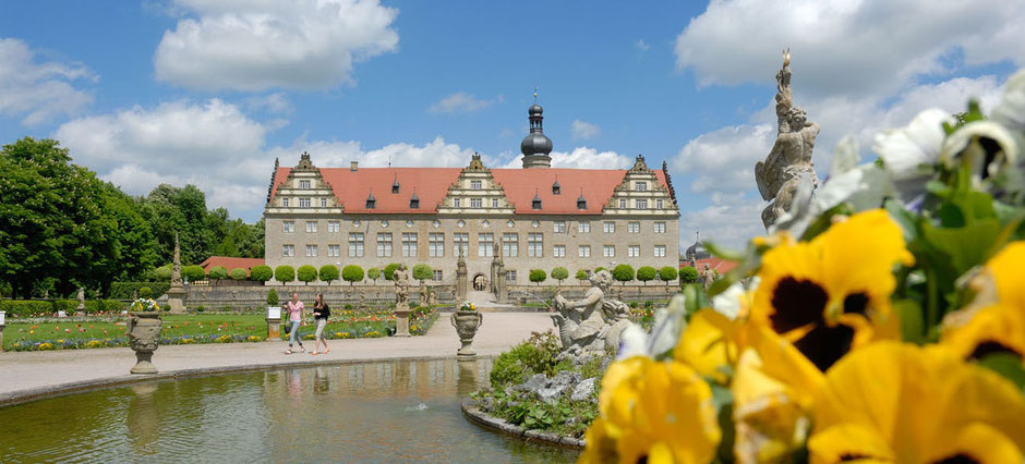Schloss Weikersheim von der Rückseite, nämlich aus dem Schlossgarten. Unten am Bildrand ist ein großes Wasserbassin, rechts riesig groß fotografiert, sind gelb/schwarze Stiefmütterchen. Man sieht zwei Touristen.