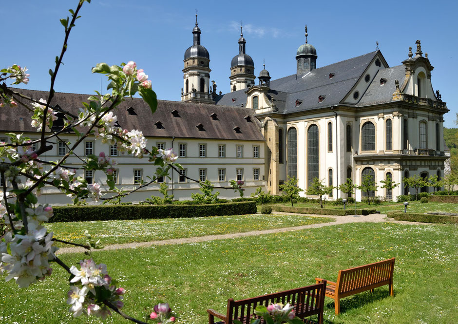 Das Kloster von Schöntal in einer Teilansicht und von der Rückseite. Man sieht zwei Kirchtürme und einen Gebäudetrakt. Davor ist ein schöner Park mit Rasen und Wegen. Links im Bild sind Blüten eines Baumes sehr dominant.