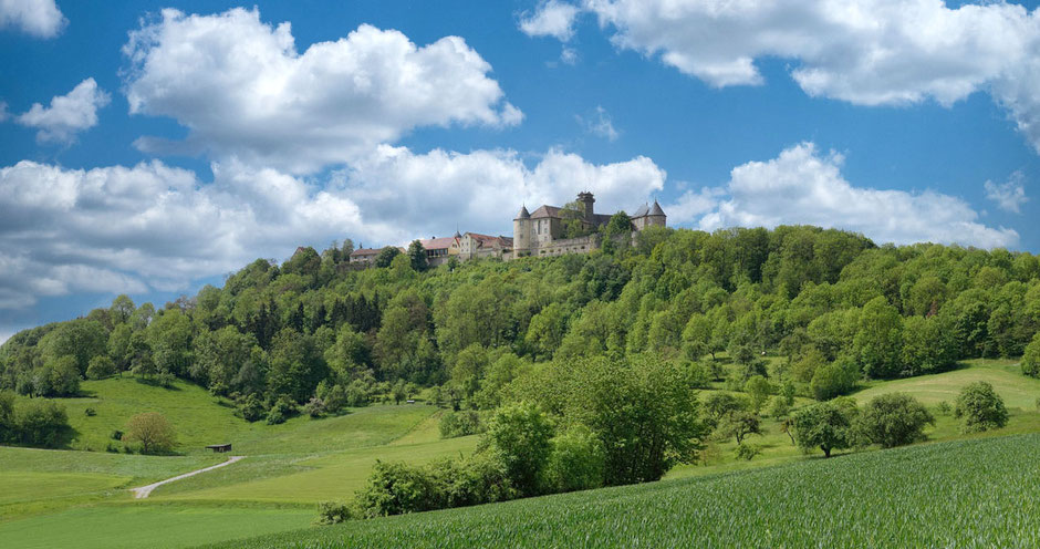 Inmitten sehr viel Natur, grüne Felder und viel Wald, steht die Burg Waldenburg auf einer Höhe. Der Himmel ist blau und es gibt viele weiße Wolken. Die Burg liegt in der Sonne.