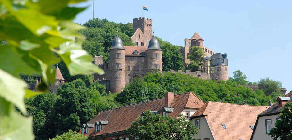 Die Burg über Wertheim ist in den Hang gebaut. Es sind viele Türmchen und an höchster Position ein Bergfried. Rundherum sind grüne Bäume. Unten sieht man die Dächer von Wohnhäusern. Links im Bild im Vordergrund ist Blattwerk, grün und riesig fotografiert.