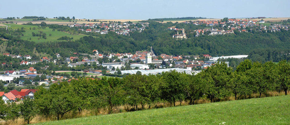 Krautheim von einer Anhöhe aus fotografiert. Im Vordergrund ist eine grüne Wiese und es sind dort Bäume. Im Hintergrund trennt Wald den Teil an der Jagst von dem auf der Anhöhe dahinter.