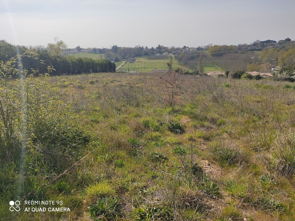 terrain constructible, terrain à bâtir, Nouvelle Aquitaine, vue dégagée, proche de Bordeaux, projet immobilier