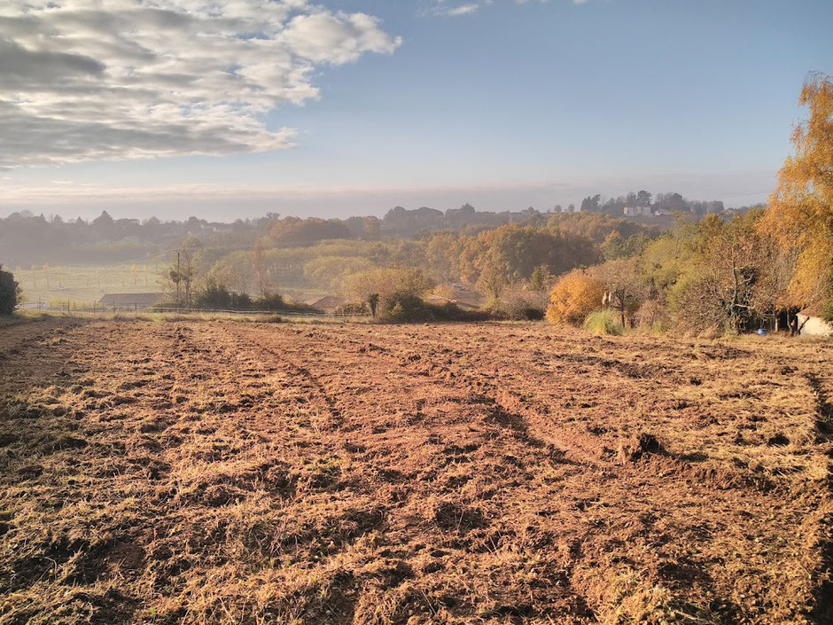 Terrain à bâtir, 30 minutes de Bordeaux, libre constructeur, projet construction, projet immobilier, sud Gironde, immobilier en Nouvelle Aquitaine, s'installer en Nouvelle Aquitaine