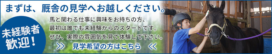 まずは、金沢競馬の厩舎への見学へお越しください。馬と関わる仕事に興味をお持ちの方