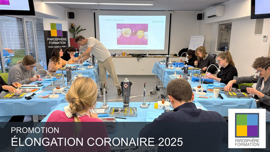 ParoSphère Formation | Elongation coronaire 2025