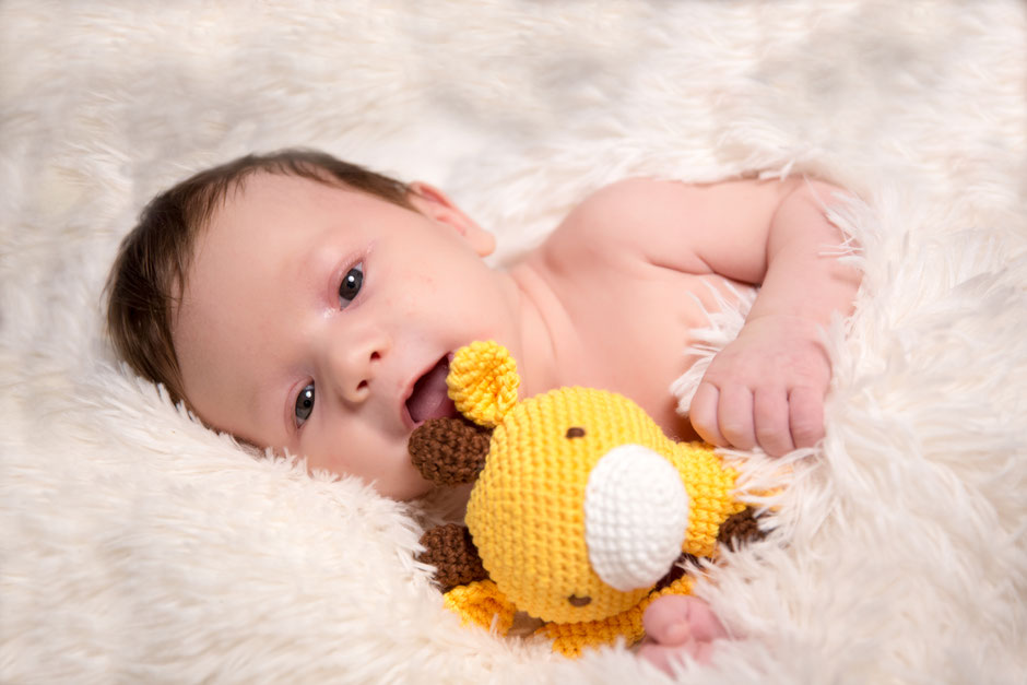 Babyshooting Dresden, Babyfotos Dresden, Neugeborenenfotos Dresden, Fotostudio Dresden, Fotografin Dresden, Familienfotografin Dresden, Fotograf für Babyfotos Dresden, Kinderfotos Dresden, Familienfotos Dresden