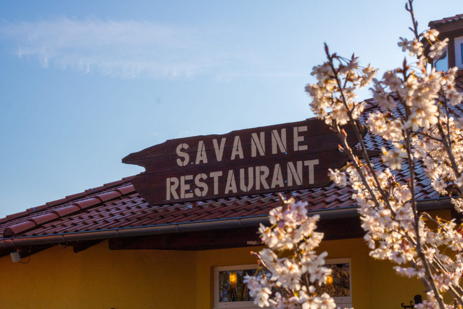 serengeti park abendessen buffet savanne restaurant
