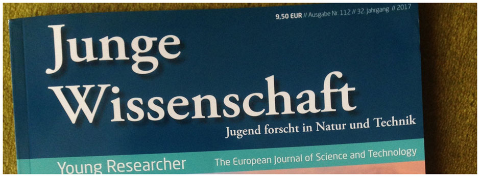 Windenergie aus dem Garten - Detailkonstruktion einer Windturbine für den städtischen Garten - Publikation in "Junge Wissenschaft"