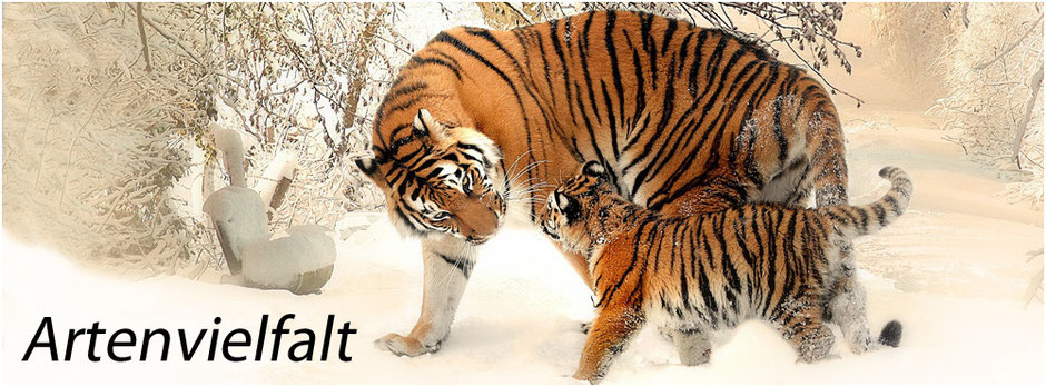#dennichliebe Artenvielfalt | Tiger | domiswindrad