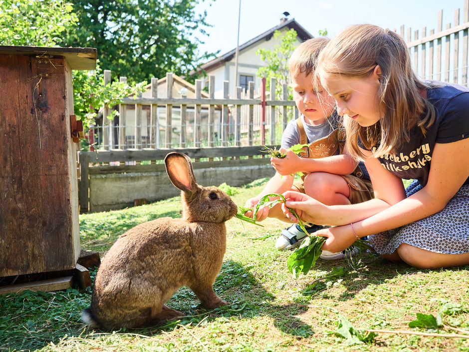 Hasen füttern im Hasengarten am Biobauernhof Stadler