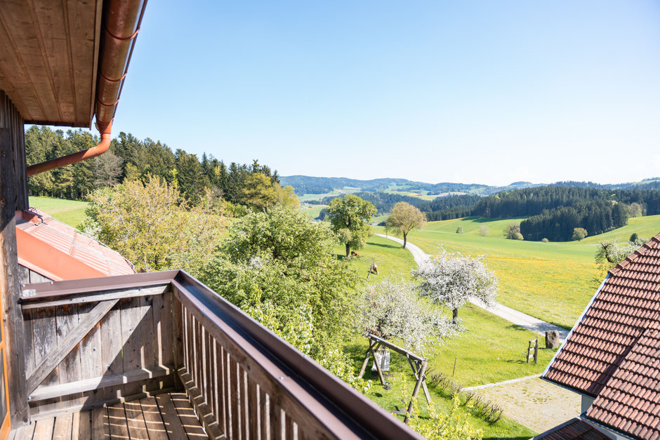 Ausblick aus der Ferienwohnung Sternenblick, blühende Obstbäume, Kühe auf der Weide, eine sich schlängelnde Straße, Wiesen und Felder