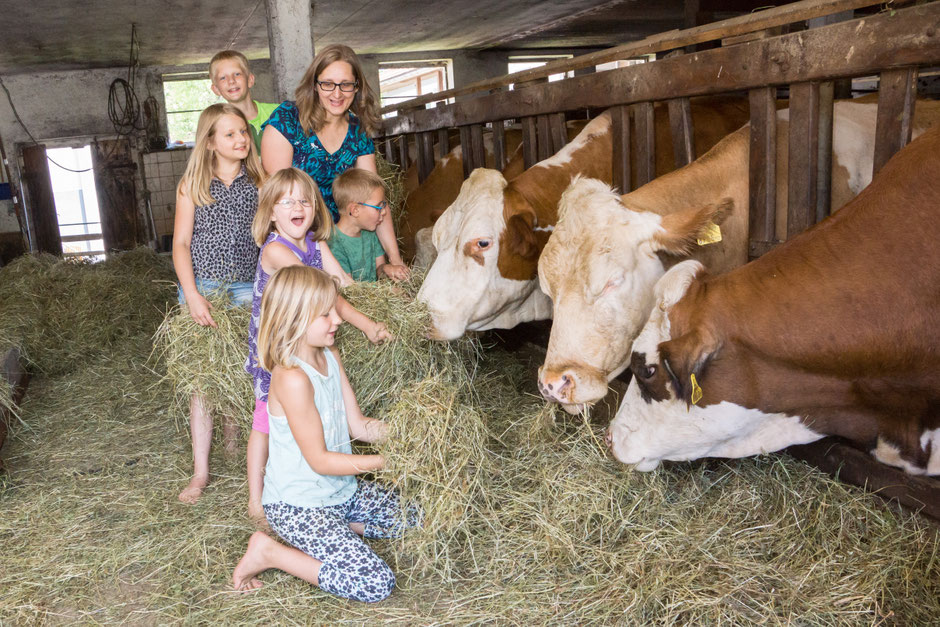 Familie beim Kühe füttern am Biobauernhof Stadler